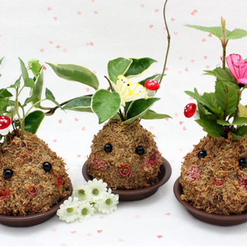 ��ǰ �� �̹���