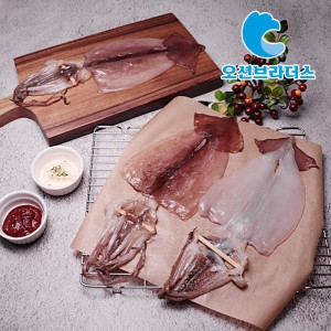 촉촉한 반건조오징어 900g/10마리