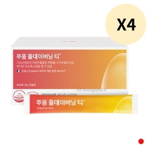 닥터블릿 푸응 올데이버닝 티 5g 20포 (4개)