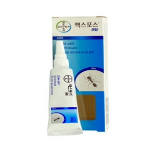 ���̿� �ƽ����� ���� 30g + Ư����� ����ĸ