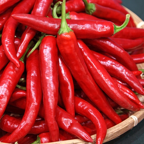 산정마을 국내산 홍고추 특품 1kg_이미지