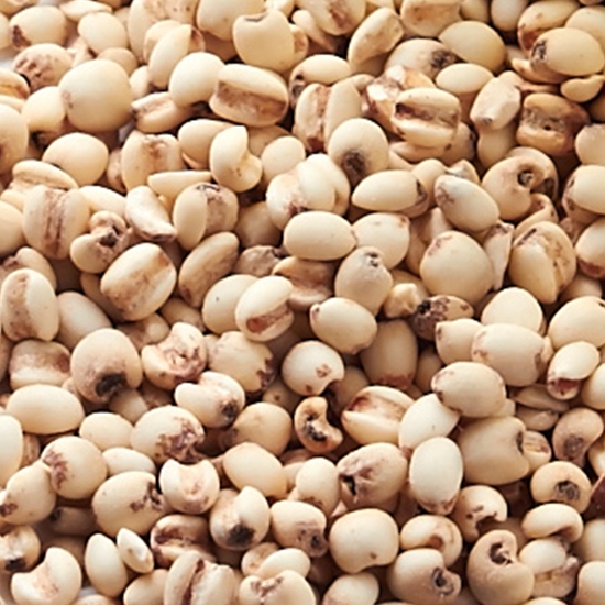 ����鿡 ������ ���� 500g