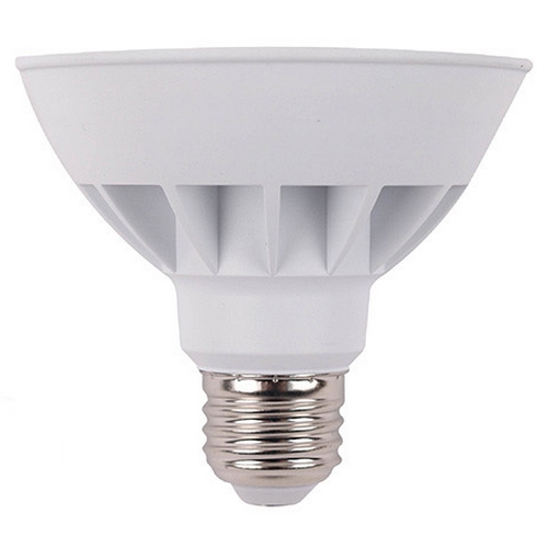 LED PAR30 집중형 주광색 15W