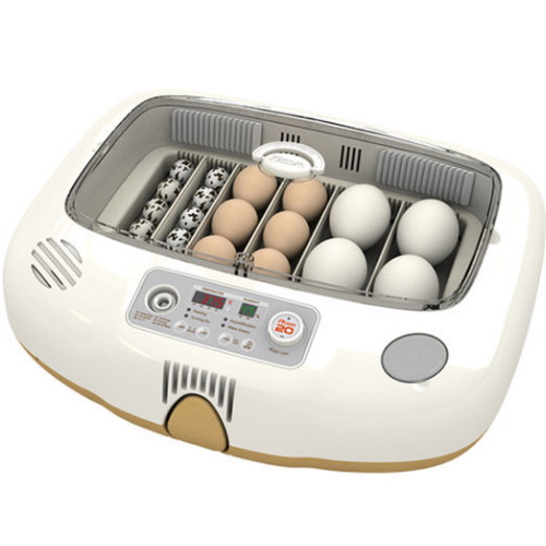 [�Ҹ�] R-com MAX20DO