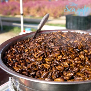 씨기프트 냉동 생 번데기 4kg (1개)