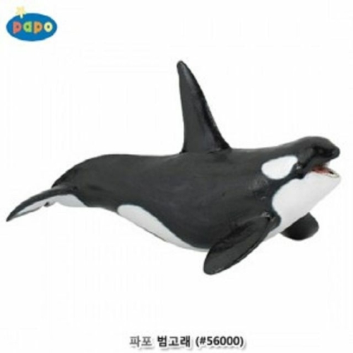 파포 범고래 (56000)_이미지