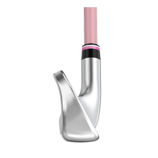 던롭 젝시오 13 여성용 아이언 카본 (병행 8개 보르도)_이미지