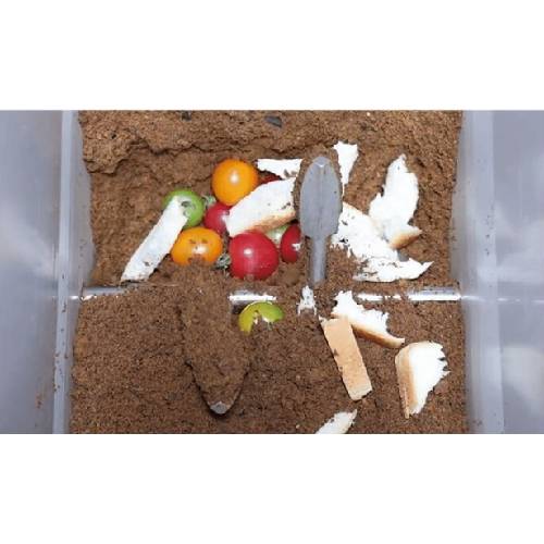 �ѹ������ú� ��Ŭ �׷���Ƽ ���� RC-GT500