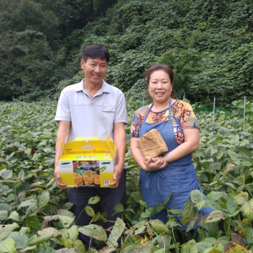 고령메주 국산 메주 5kg + 장소금 2.2kg (1개)_이미지