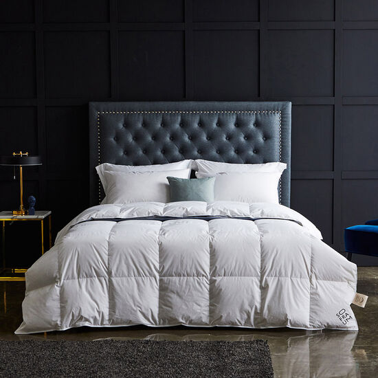 소프라움 사르르 폴란드산 구스다운 사계절 이불솜이미지입니다. 누르면 해당 게시물로 새창이동합니다.