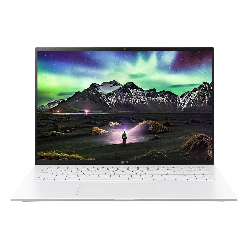 LG전자 2022 그램16 16ZD95P-GX76K WIN10 (SSD 500GB + SSD 256GB)