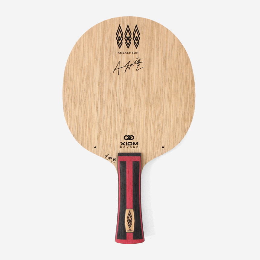 엑시옴  안재현 TMXi FL