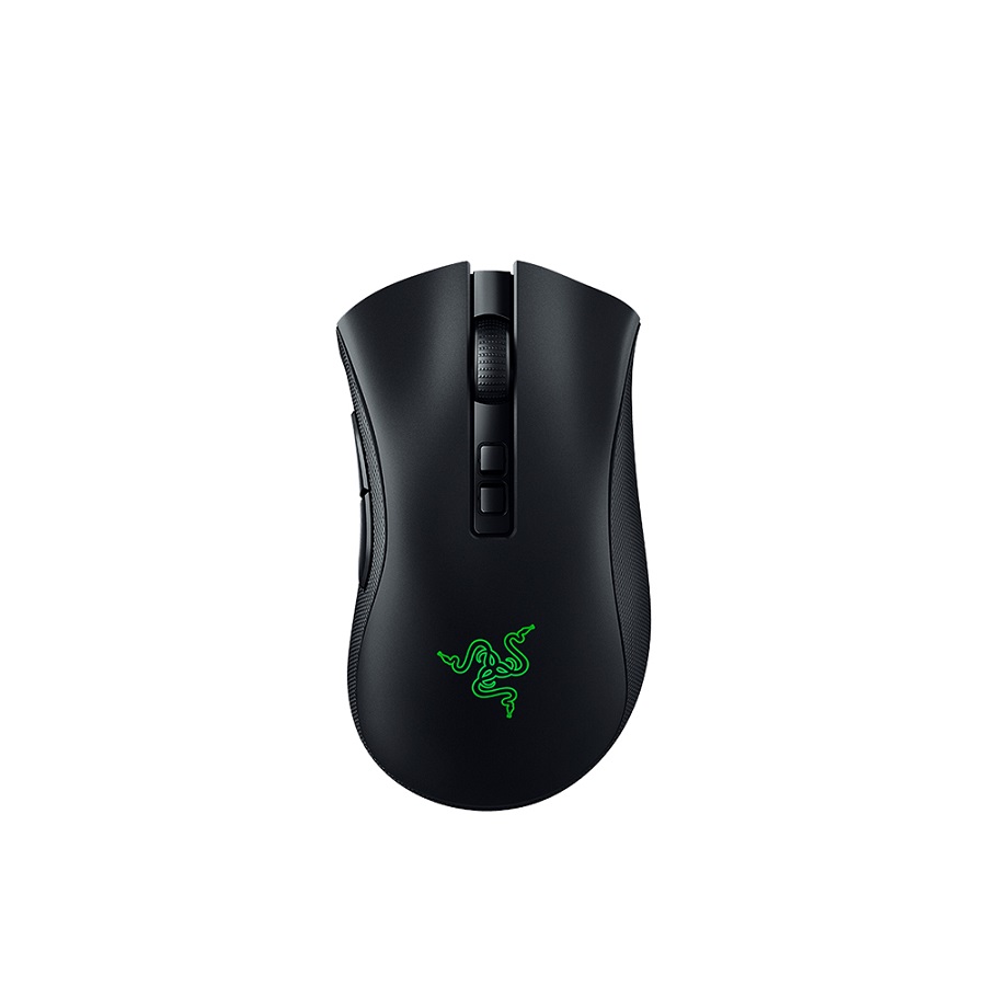 Razer DeathAdder V2 Pro (해외구매)_이미지