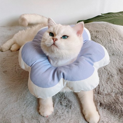 힐링타임 키티요요 넥카라 블루 (L)