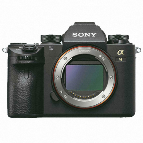 SONY 알파 A9 바디 (정품)_이미지