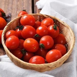 초록자연 대추 방울토마토 가정용 5kg