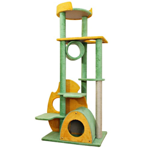 �԰����� 5�� ������ ĹŸ��