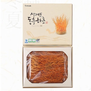  머쉬텍 성재모 동충하초 건초 50g [1개]