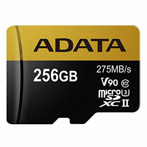 ADATA micro SD Premier ONE 2019 (256GB)