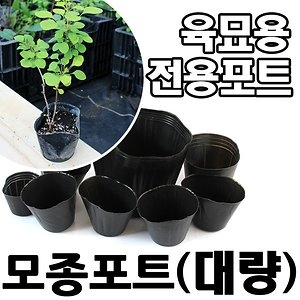 ���̰��� ������Ʈ-�뷮  ���������� ���� ����ϴ� ������Ʈ