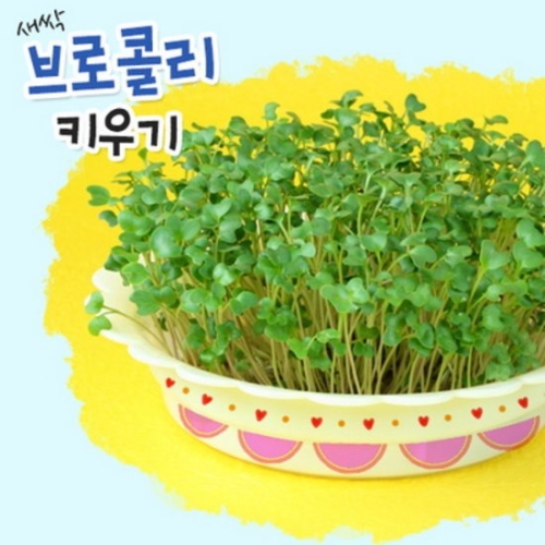 ���� ����ݸ� Ű��� 5set