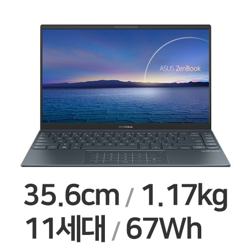 ASUS 젠북 UX425EA-BM113T (SSD 512GB)