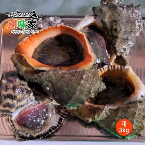 해녀가 직접 채취한 자연산 통영 참소라 대 3kg 18-21미