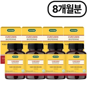 자생앤 커큐민 바이오페린 120정 (4개)_이미지