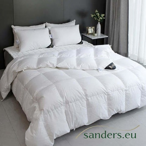 ������ �����Ǿ� 100 �����ٿ� �̺� SS