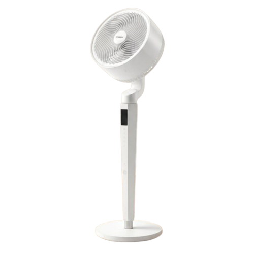 ZMF-R1094CCD