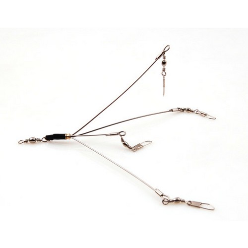 블루힐 알라바마 리그_이미지