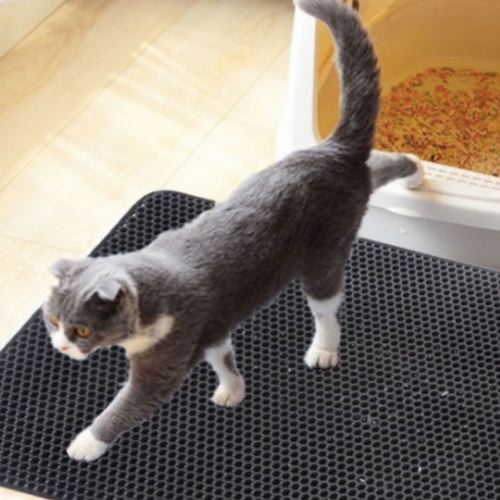 ��Ÿ��ƽ �縷ȭ���� �𷡸�Ʈ 40x50