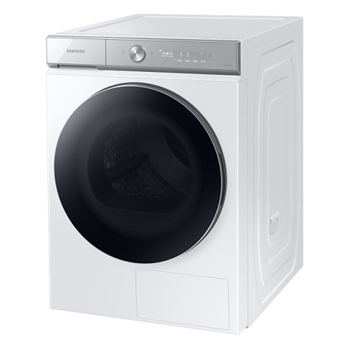 �Ｚ���� ����ũ �׶���AI DV20B9760CW