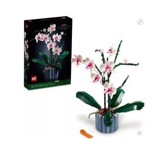 ���� ���� (10311)