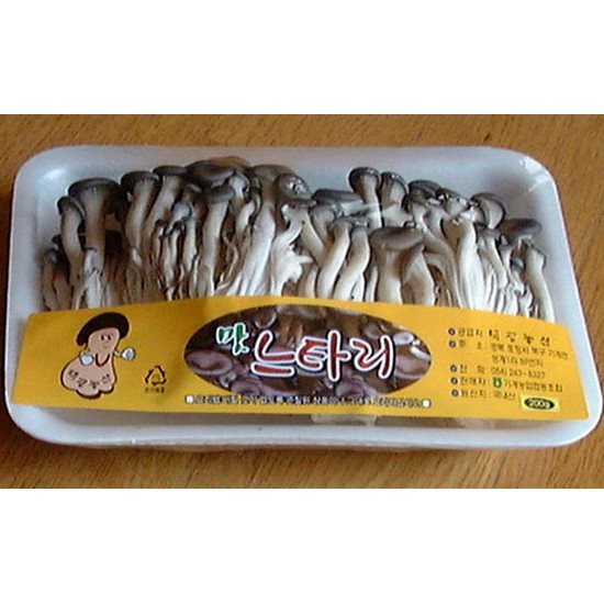  코레마을 맛 느타리 200g [10개]