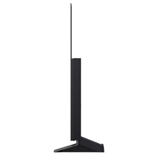 LG���� �÷��� evo AI OLED48C5ENA