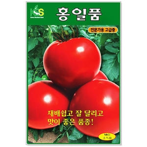 영농사 홍일품 토마토씨앗 50립_이미지