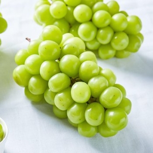 �����ʽ� ���絵 ���θӽ�Ĺ ������Ʈ 3�� 2.3kg