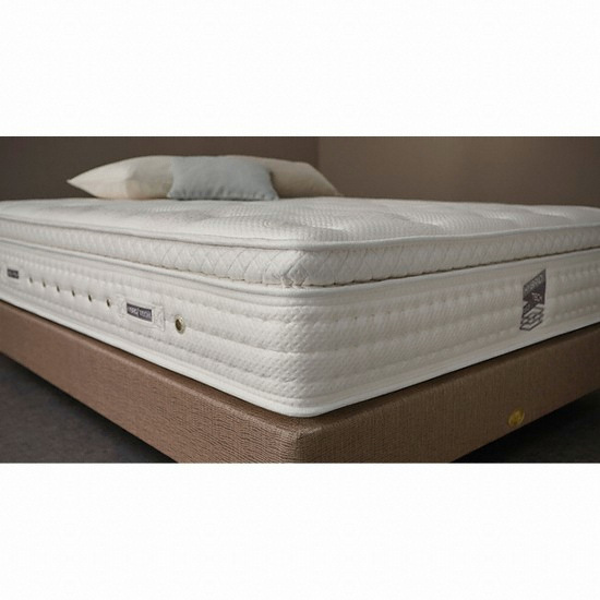 ���̽�ħ�� HT-R (HYBRID TECH RED) ����Ʈ���� SS ����Ʈ Ÿ��