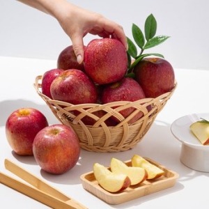 더조은푸드 경북 감홍사과 실속형 14~16과 2kg (1개)