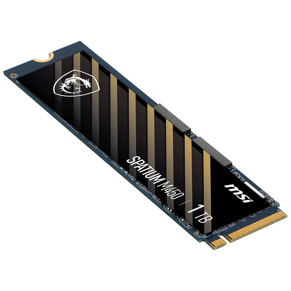 MSI SPATIUM M450 M.2 NVMe (1TB)_이미지