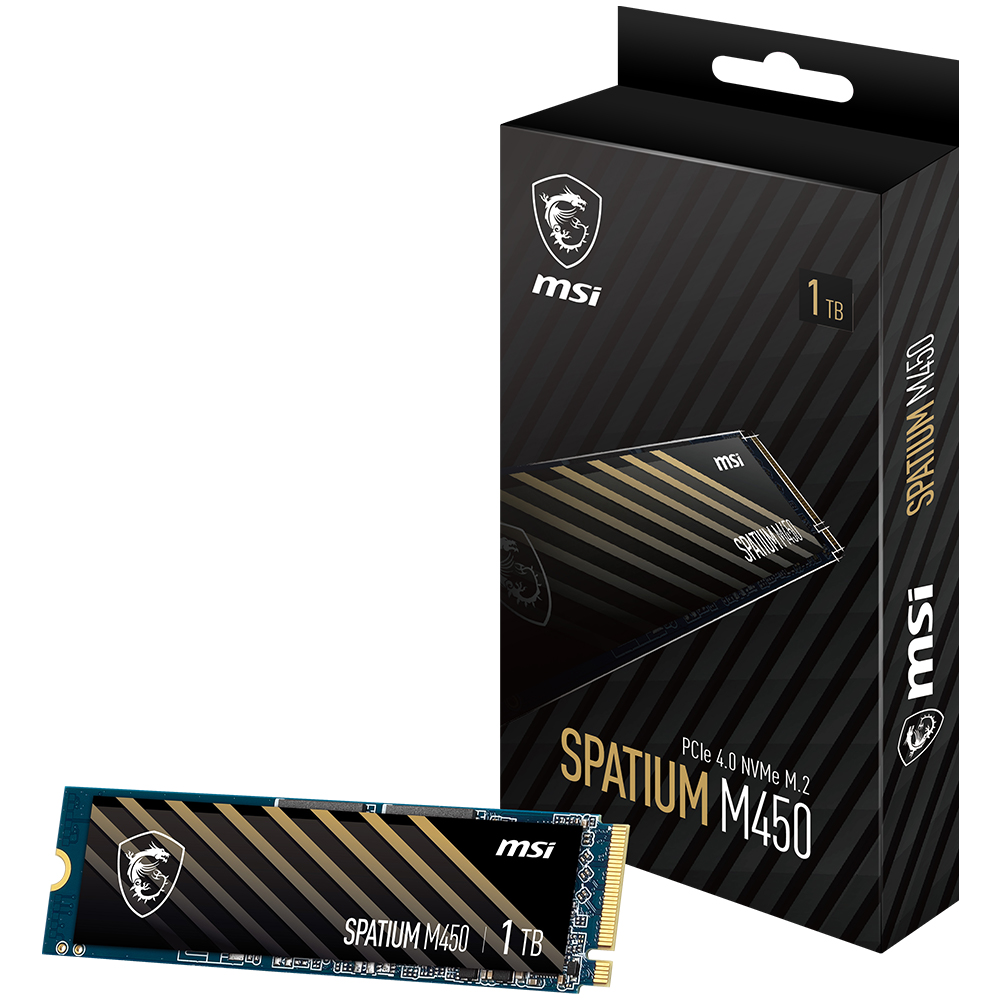 MSI SPATIUM M450 M.2 NVMe (1TB)_이미지