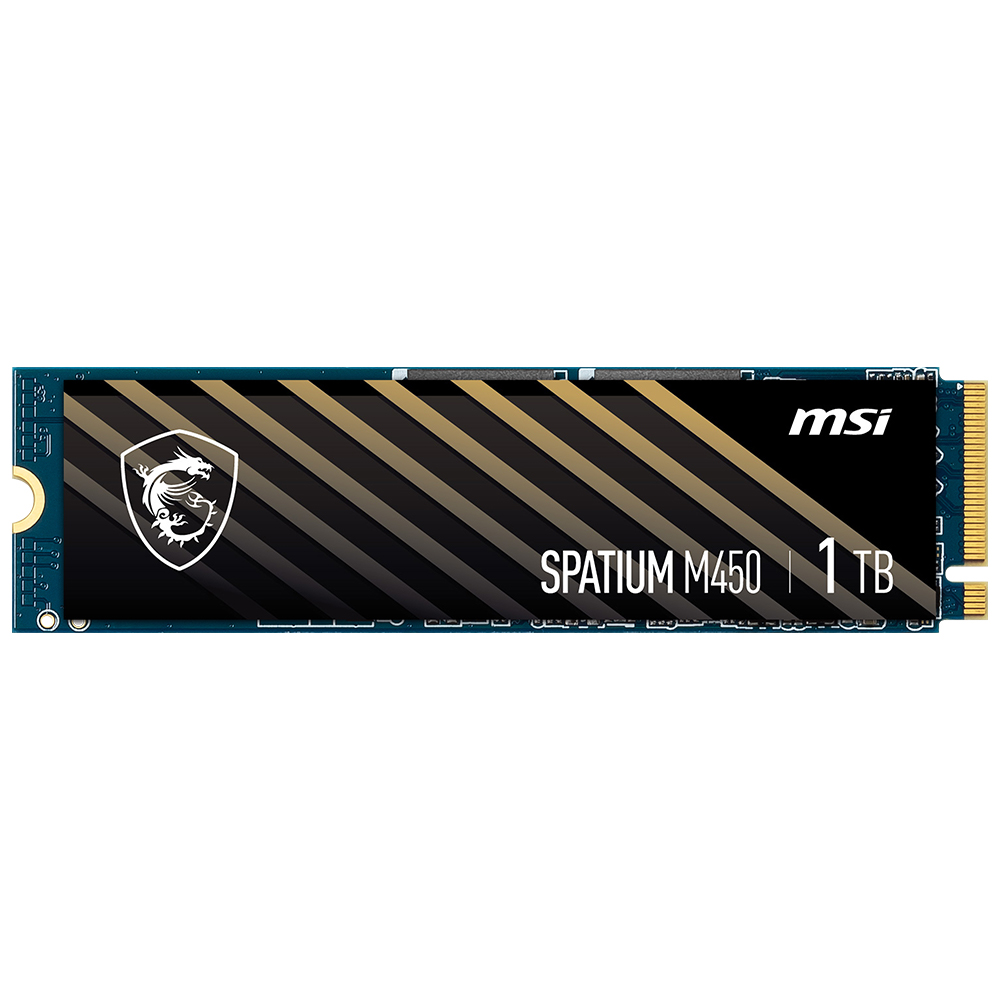MSI SPATIUM M450 M.2 NVMe (1TB)_이미지