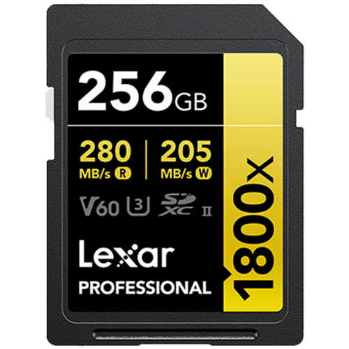 Lexar SD Professional 1800X UHS-II (256GB)_이미지