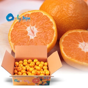 제주 감귤 대 10kg 2개