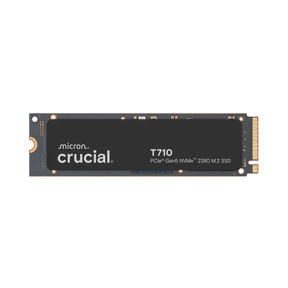 마이크론 Crucial T710 M.2 NVMe 대원씨티에스 (1TB)_이미지