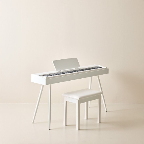 ���̳��� DT200