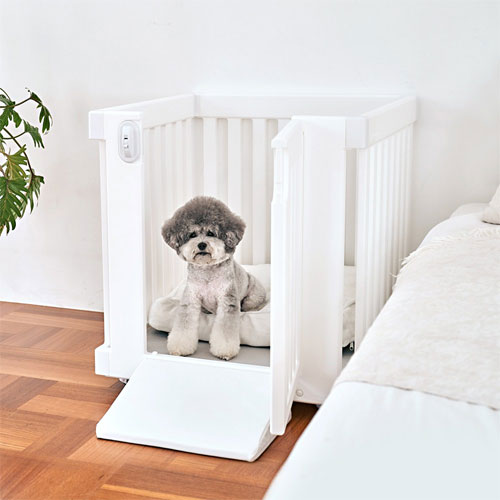 ���������� �ع�Ȩ �̵��� ��� �̱�