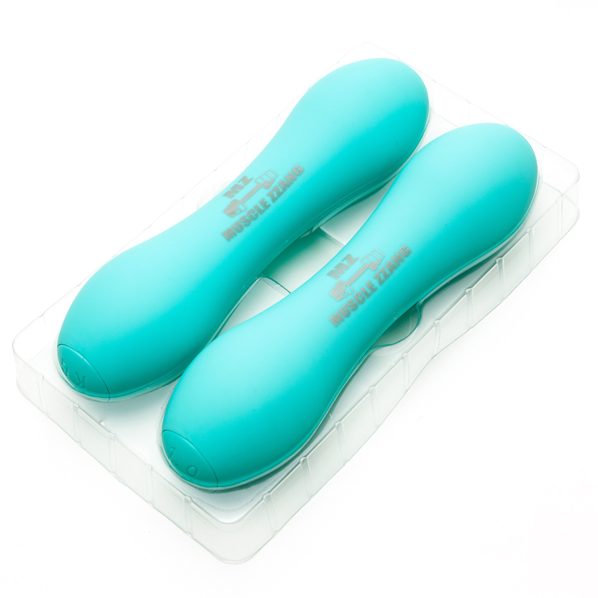 웰니스케어 머슬짱 호박 생고무 아령 민트 (1kg, 2개)_이미지