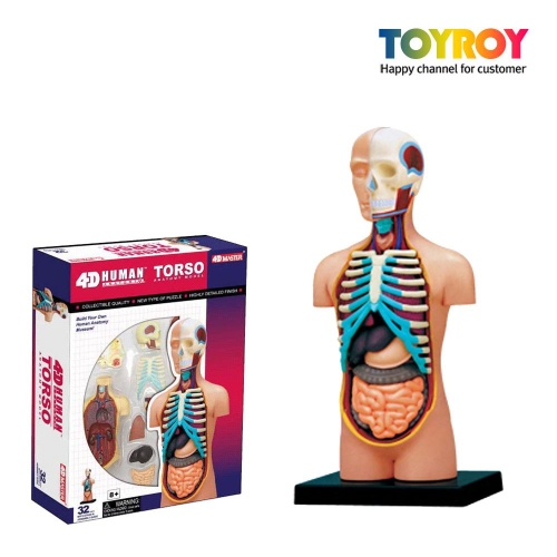  상반신해부모형/고급입체퍼즐/인체모형/4D퍼즐/상반신